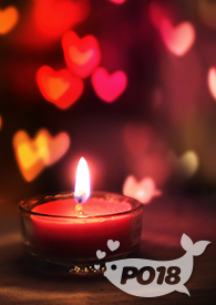 �ʺ�ɳ��ƻ�֮�����